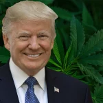 How Donald Trump’s New Term Could Shape Federal Marijuana Policy