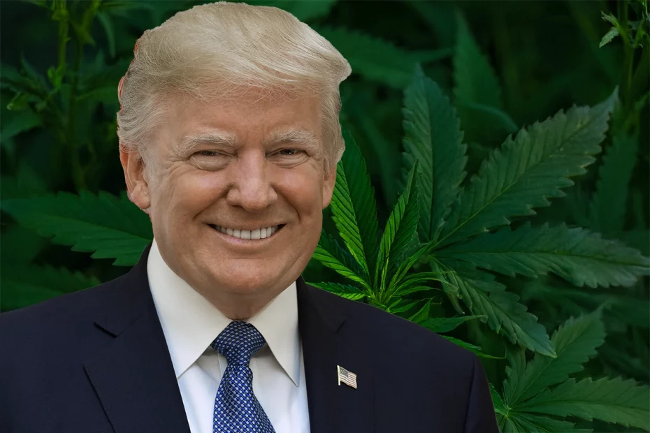 How Donald Trump’s New Term Could Shape Federal Marijuana Policy